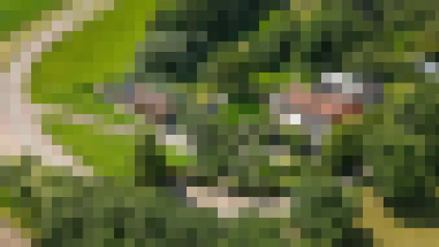 Moleneind 1 Alem thumbnail 85