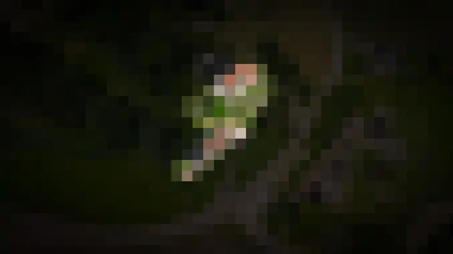 Moleneind 1 Alem thumbnail 86