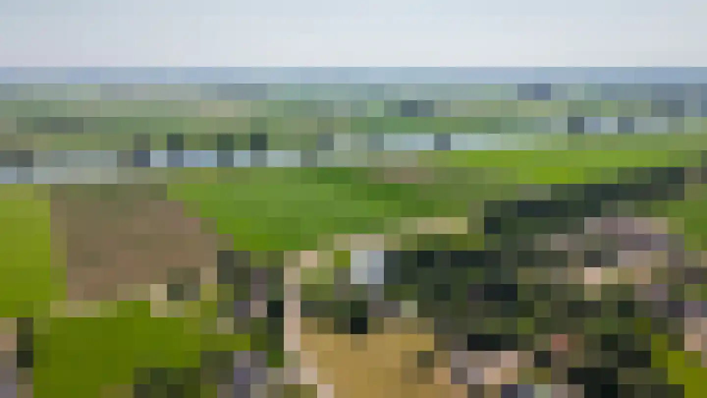 Moleneind 1 Alem thumbnail 87