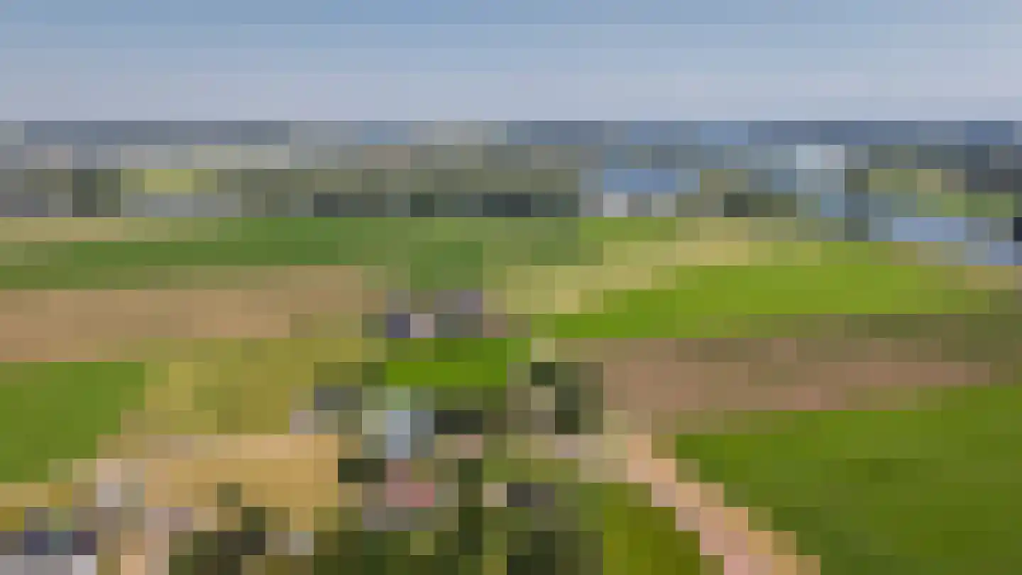 Moleneind 1 Alem thumbnail 88