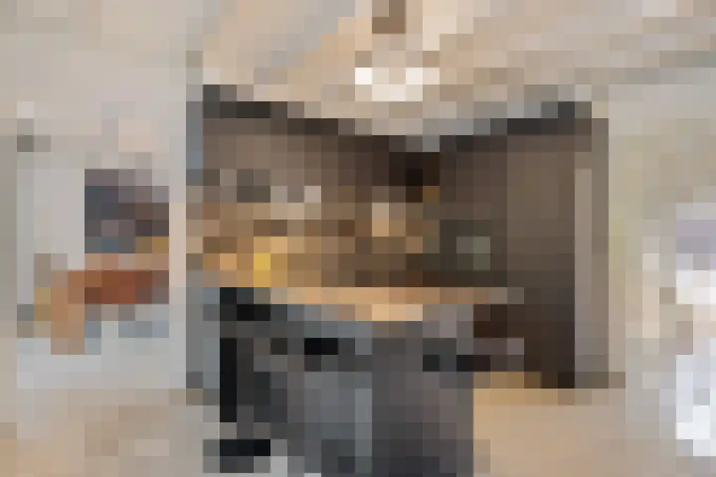 Moleneind 1 Lith thumbnail 13