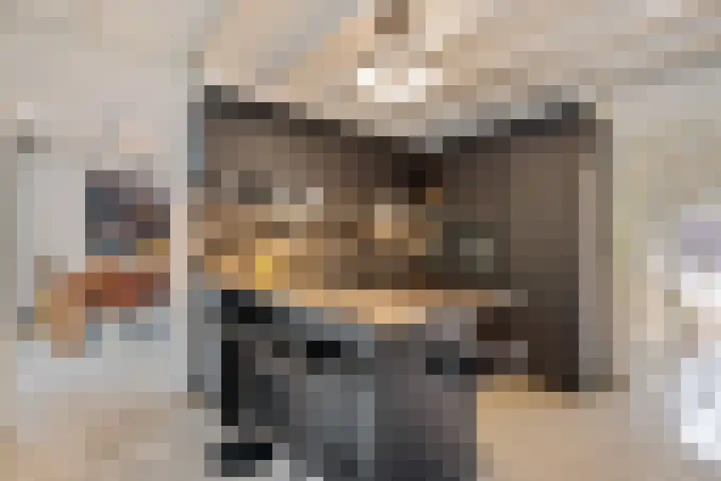 Moleneind 1 Lith foto 3