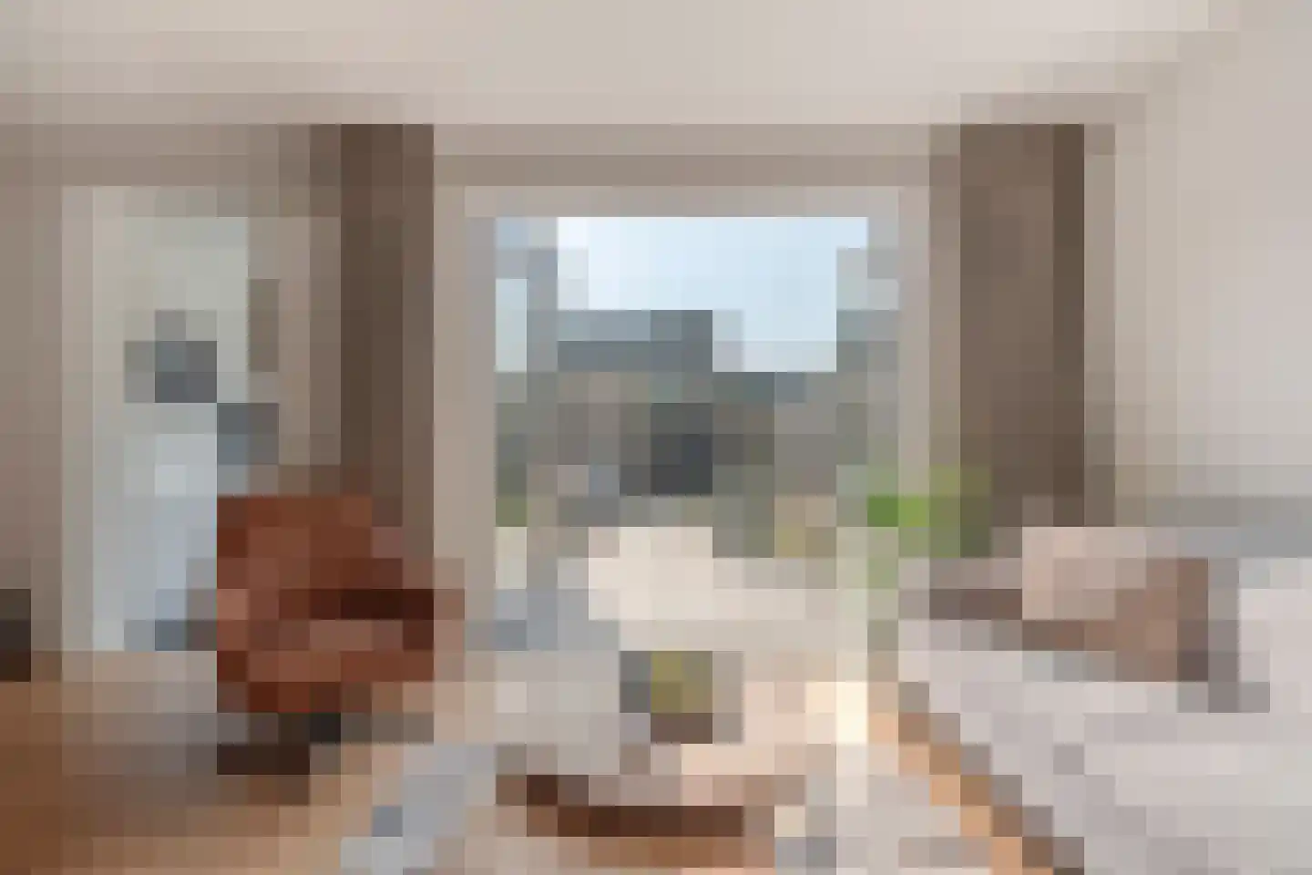 Moleneind 100 Prinsenbeek thumbnail 10