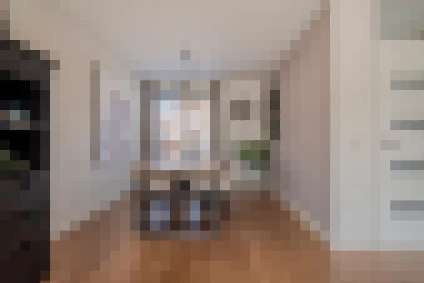 Moleneind 100 Prinsenbeek thumbnail 13