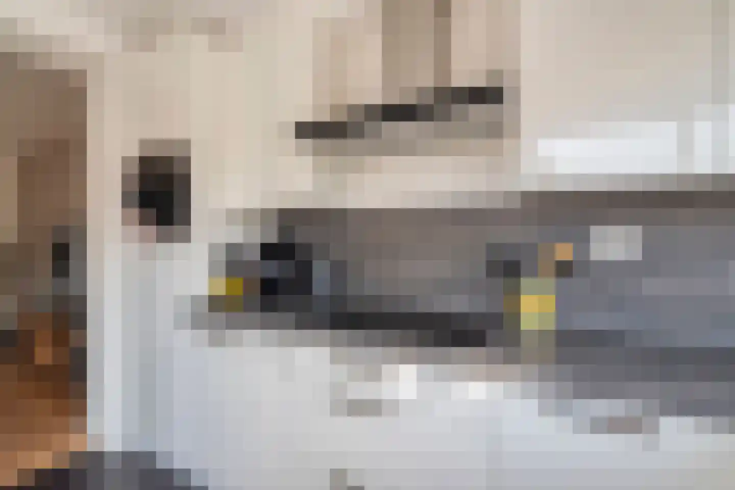Moleneind 100 Prinsenbeek thumbnail 17