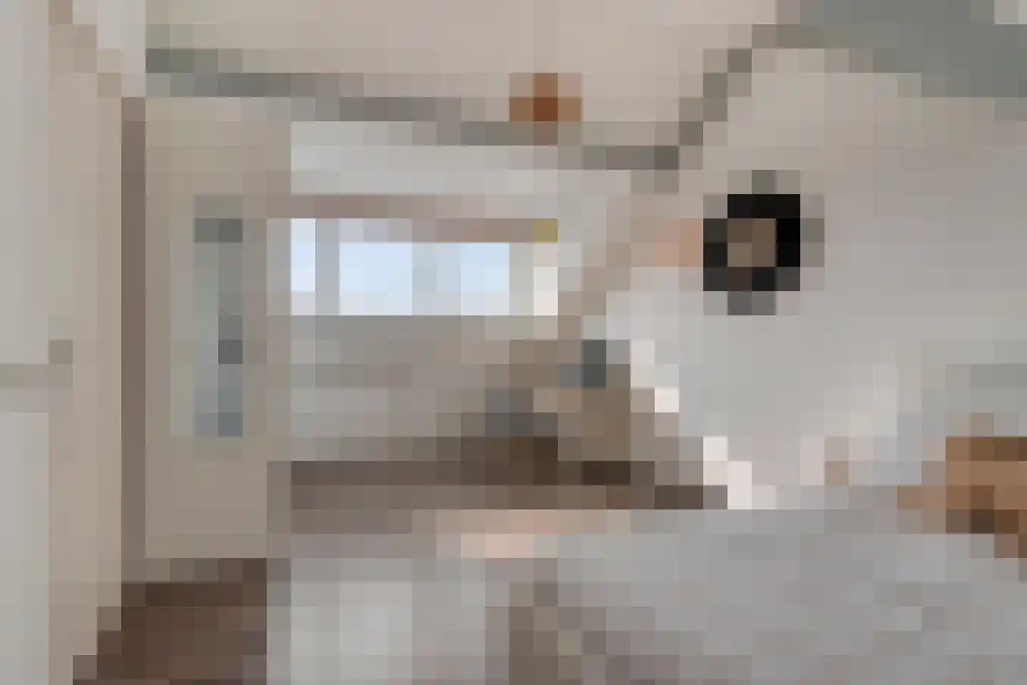 Moleneind 100 Prinsenbeek thumbnail 24