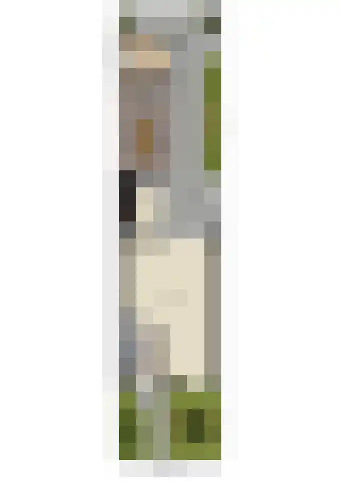 Moleneind 100 Prinsenbeek thumbnail 38