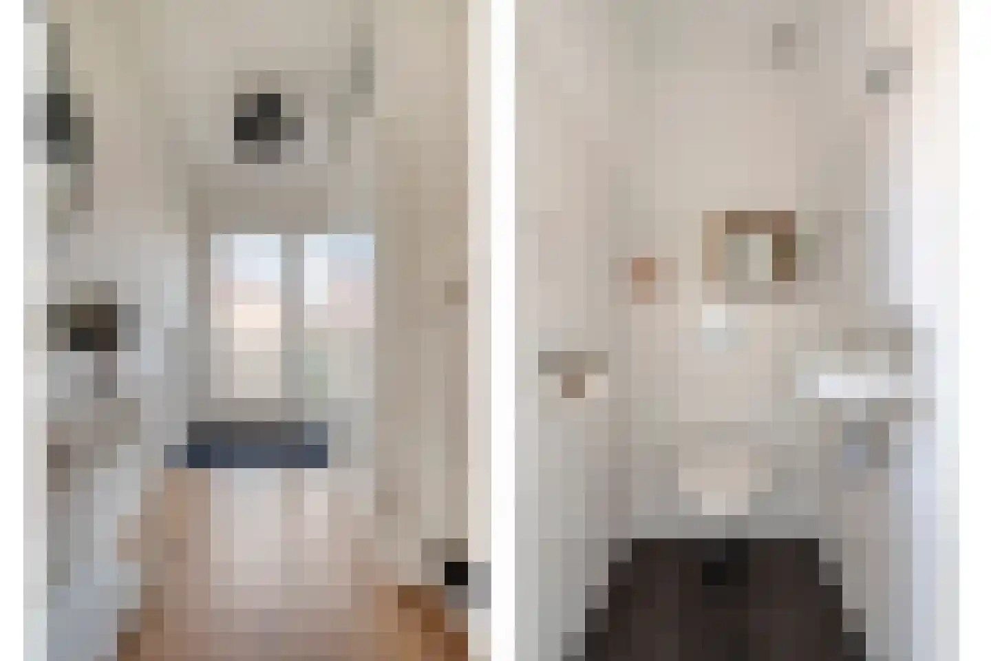 Moleneind 100 Prinsenbeek thumbnail 7