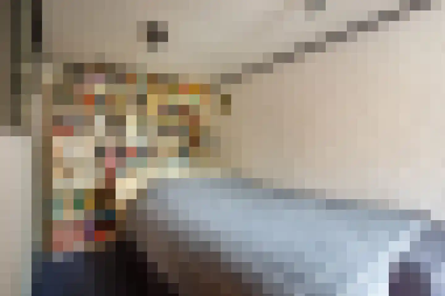Moleneind 11 Ossendrecht thumbnail 11