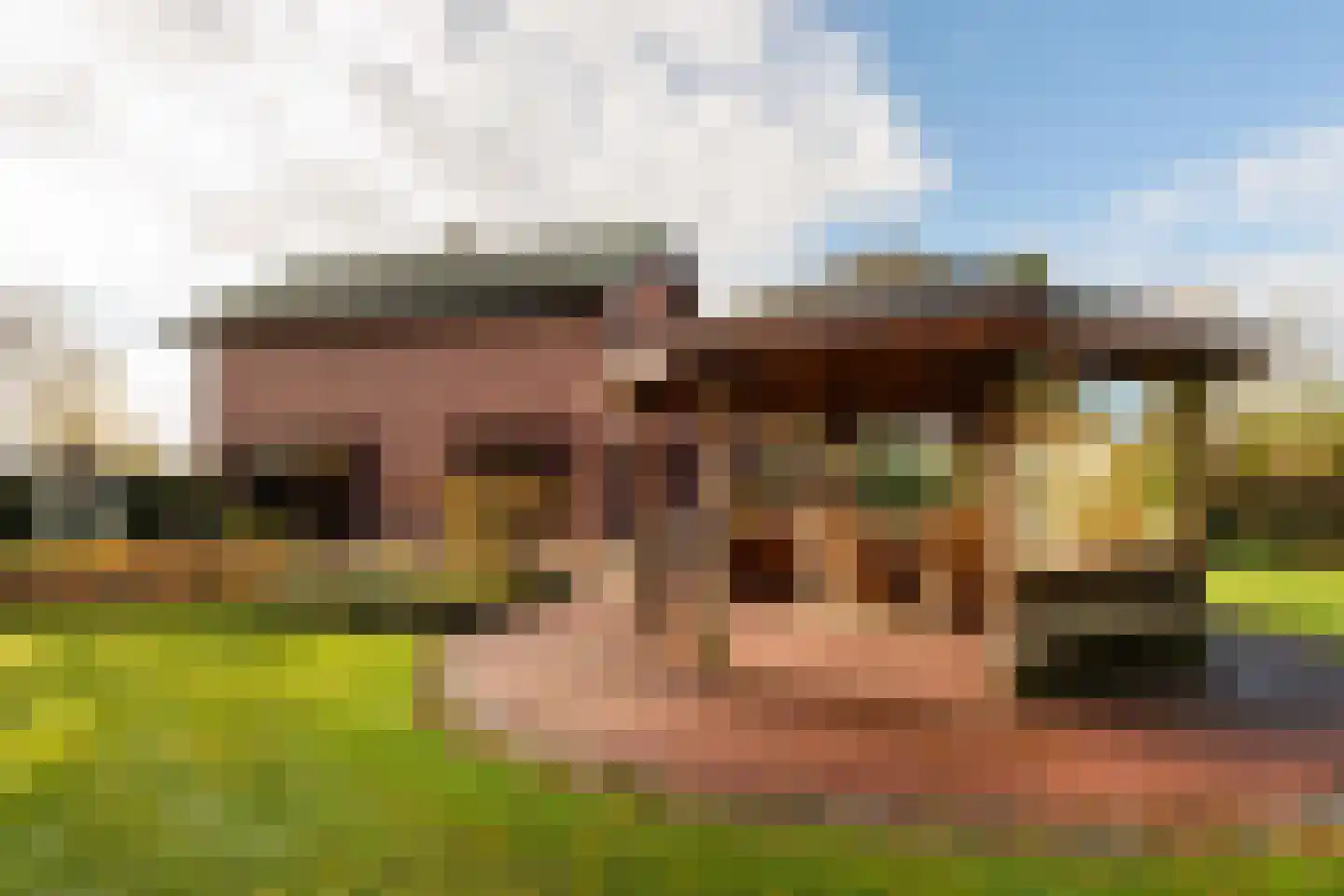 Moleneind 11 Ossendrecht thumbnail 27