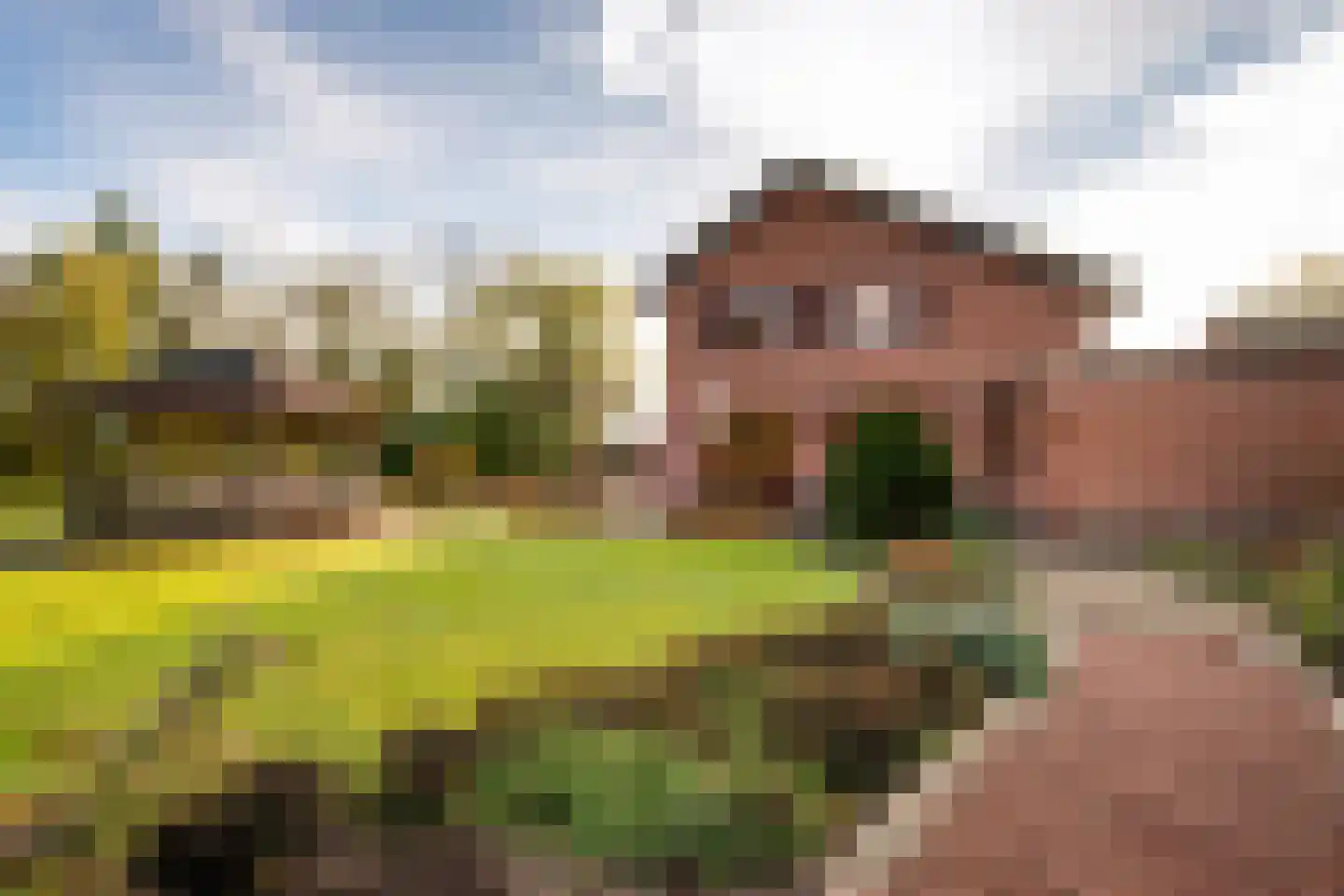 Moleneind 11 Ossendrecht thumbnail 28