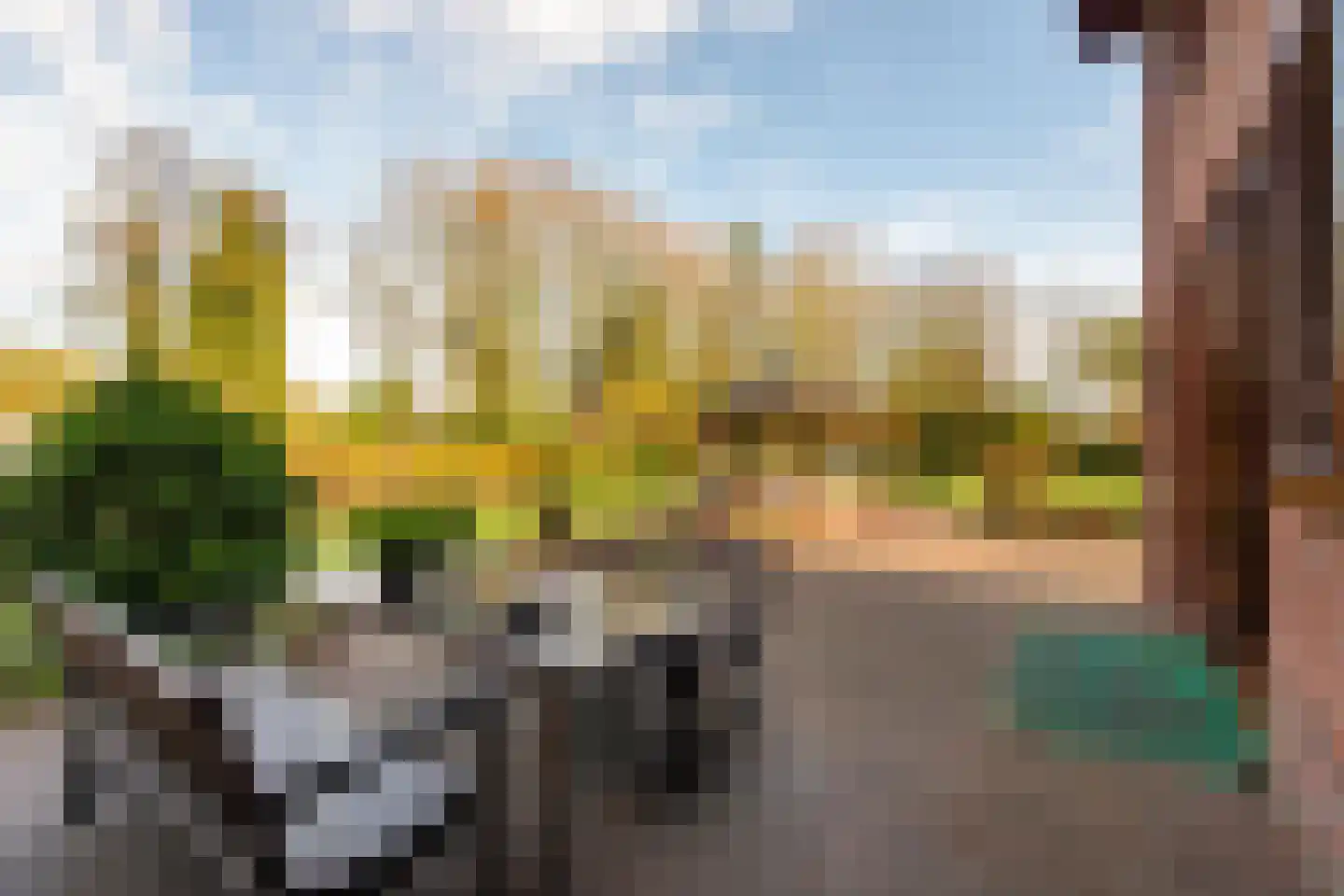Moleneind 11 Ossendrecht thumbnail 30