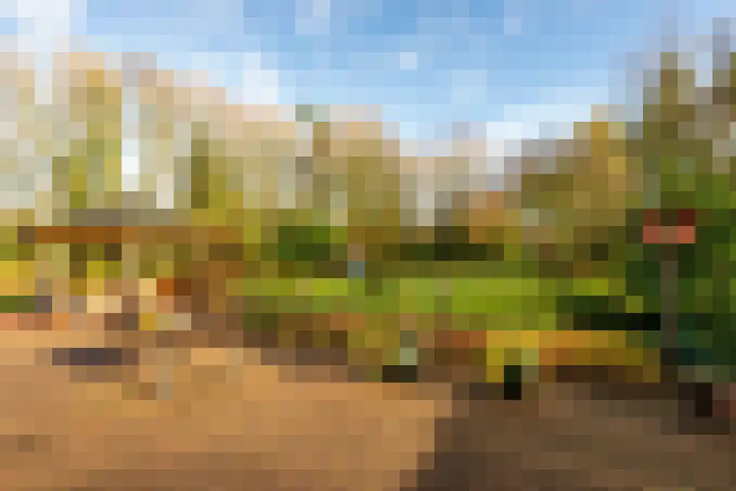 Moleneind 11 Ossendrecht thumbnail 34
