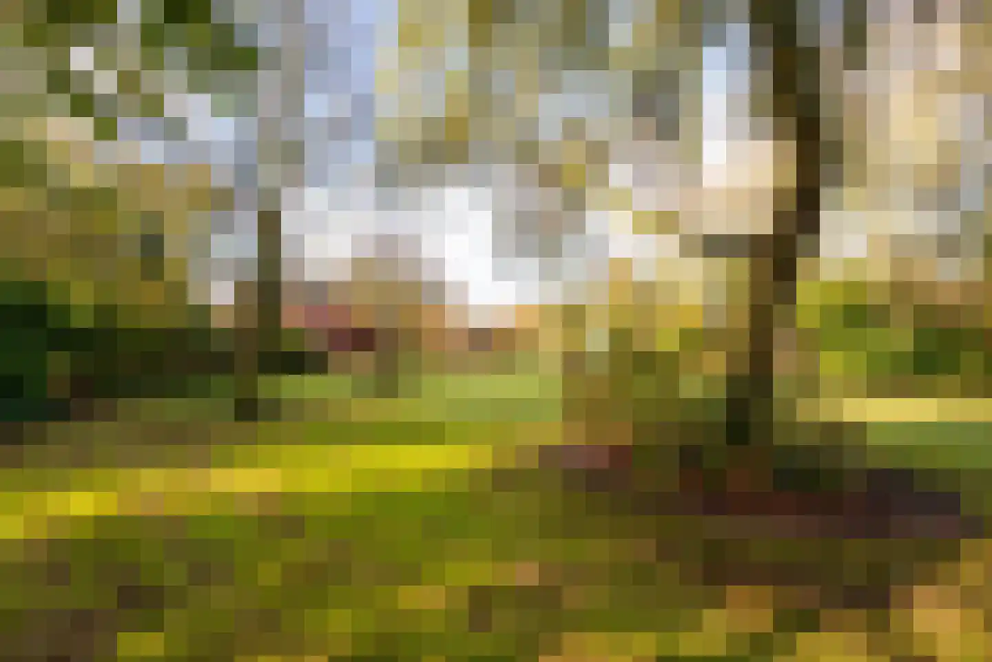 Moleneind 11 Ossendrecht thumbnail 37