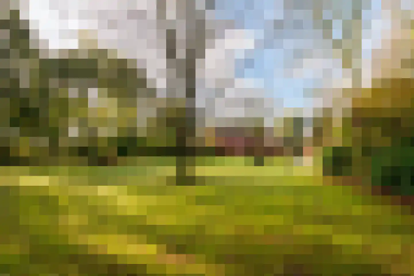 Moleneind 11 Ossendrecht thumbnail 38
