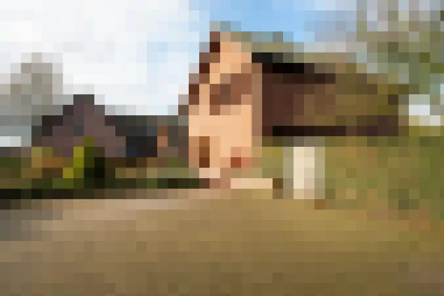 Moleneind 11 Ossendrecht thumbnail 43