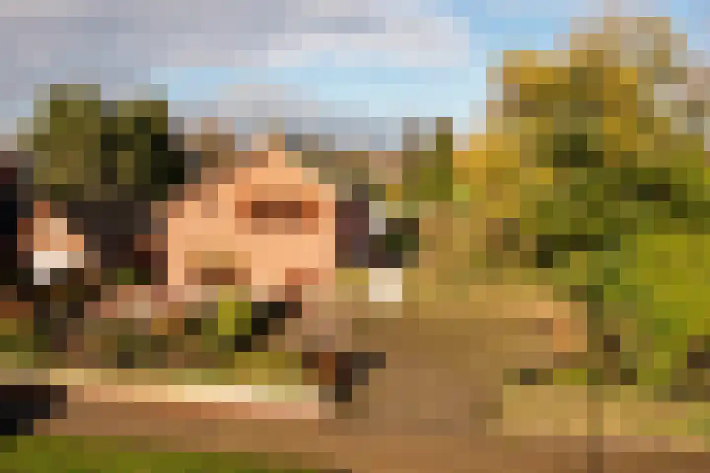 Moleneind 11 Ossendrecht thumbnail 46