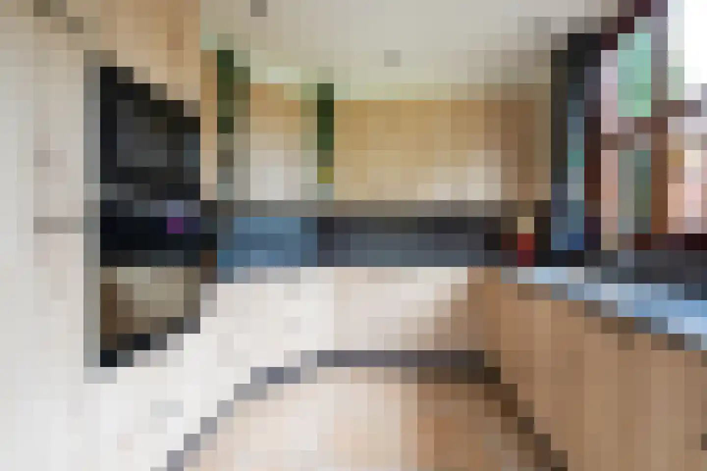 Moleneind 11 Ossendrecht thumbnail 7