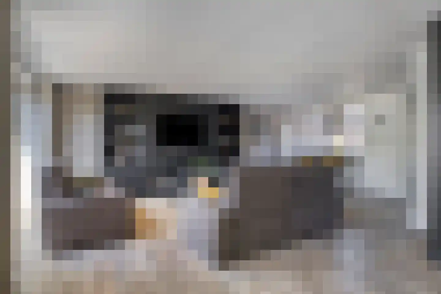 Moleneind 124 Prinsenbeek thumbnail 13