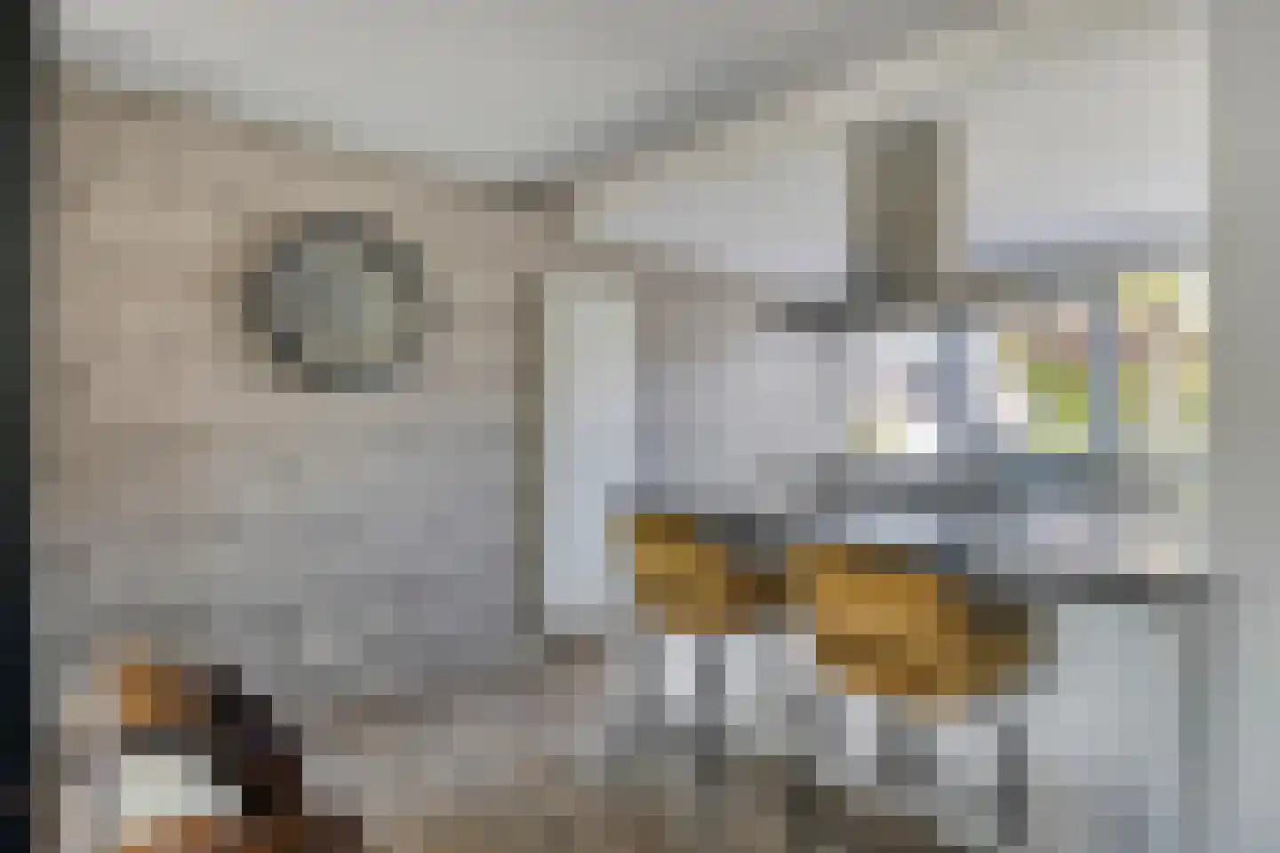 Moleneind 124 Prinsenbeek thumbnail 16