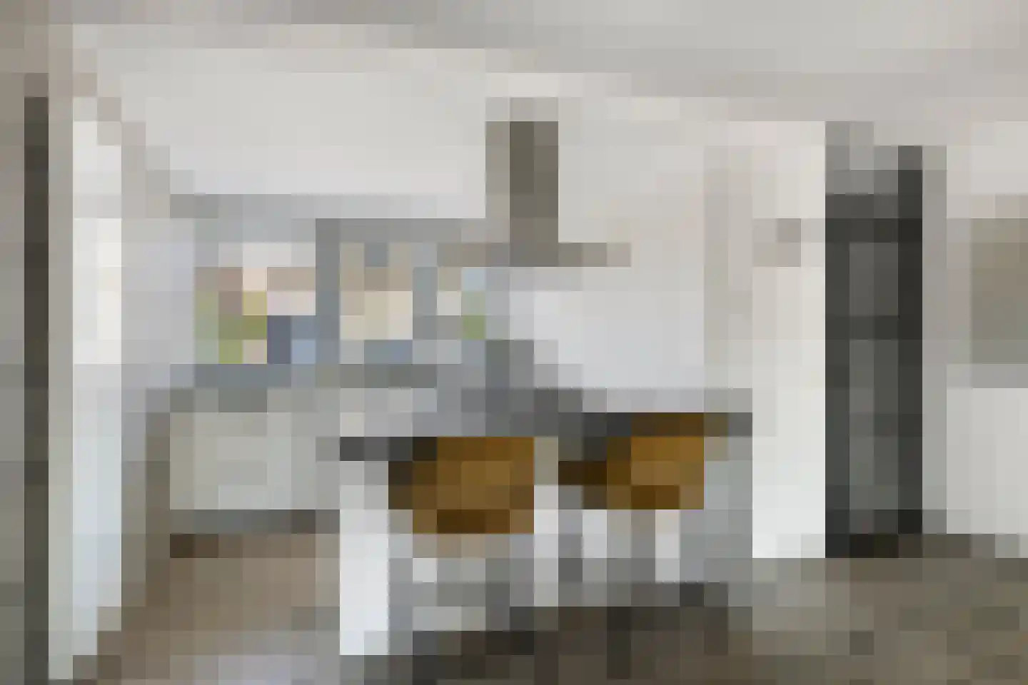 Moleneind 124 Prinsenbeek thumbnail 17