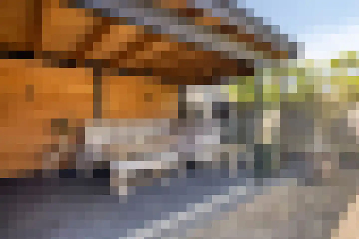 Moleneind 124 Prinsenbeek thumbnail 34