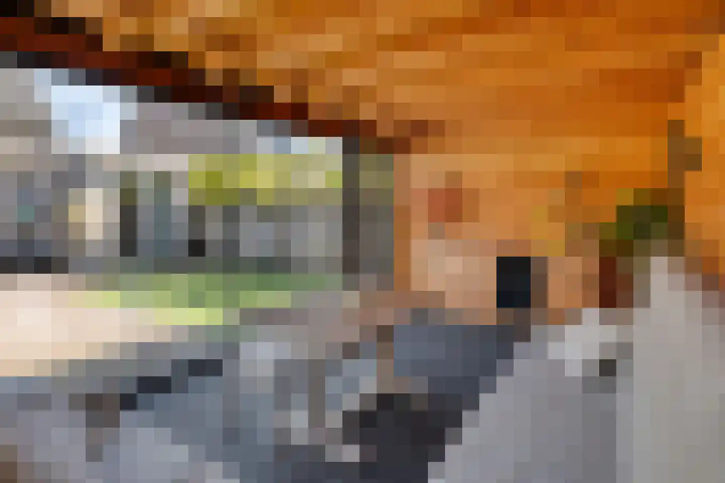 Moleneind 124 Prinsenbeek thumbnail 36