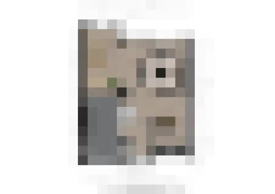 Moleneind 124 Prinsenbeek thumbnail 42