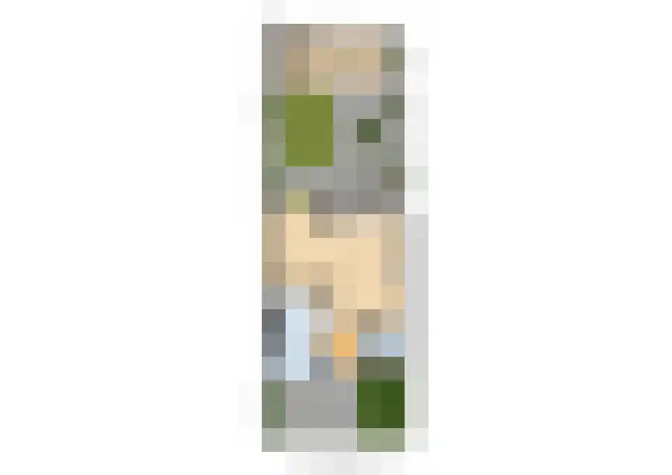 Moleneind 124 Prinsenbeek thumbnail 45