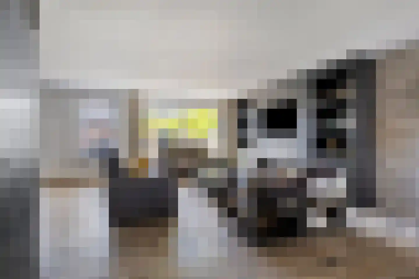 Moleneind 124 Prinsenbeek thumbnail 7