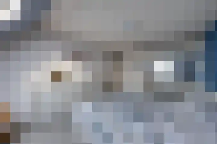Moleneind 128 Prinsenbeek thumbnail 21