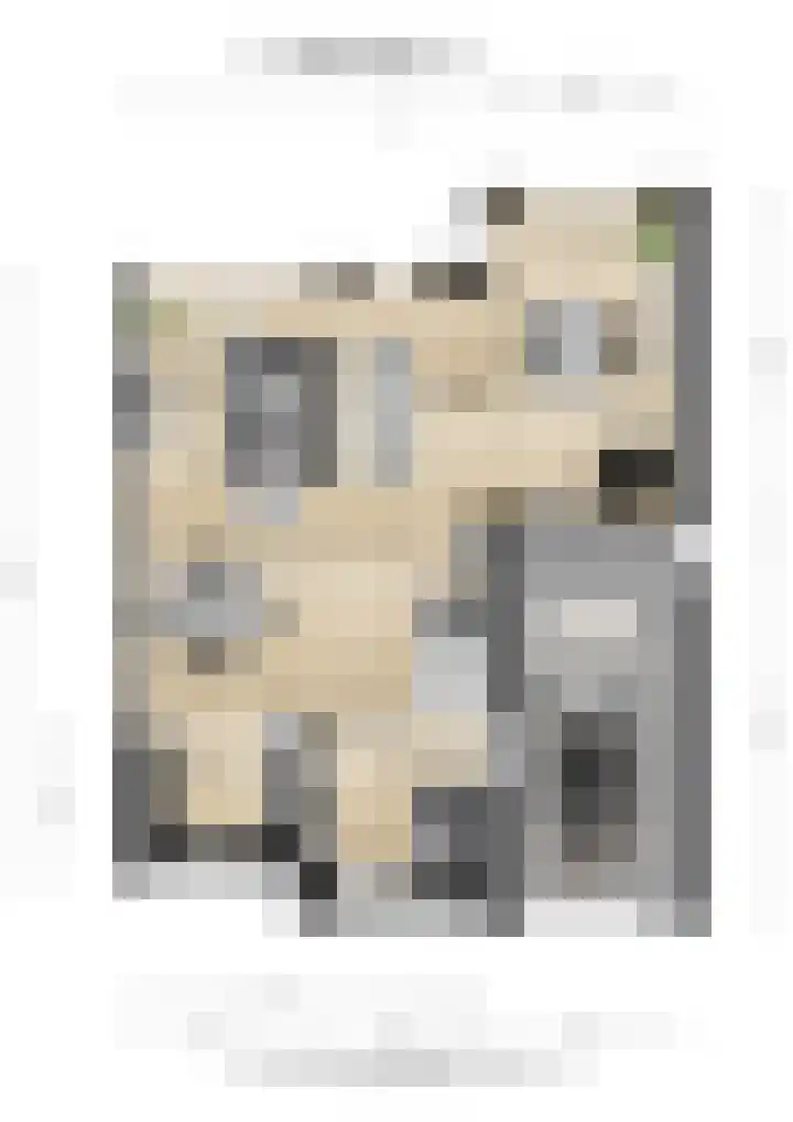 Moleneind 128 Prinsenbeek thumbnail 39