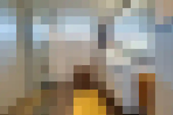 Moleneind 128 Prinsenbeek thumbnail 4