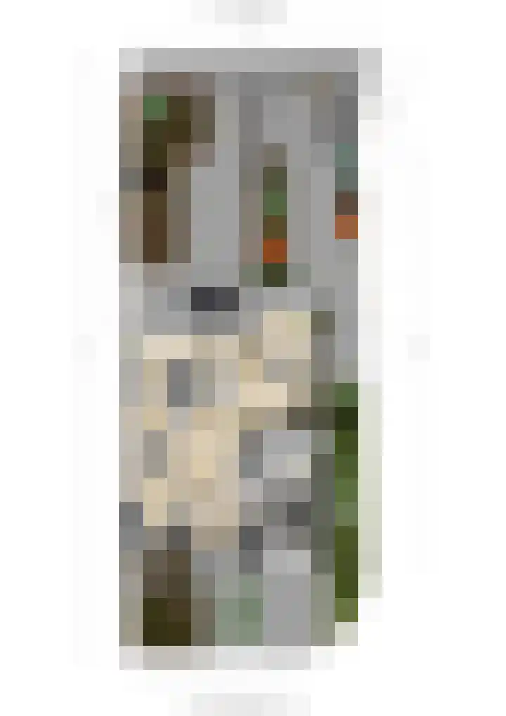 Moleneind 128 Prinsenbeek thumbnail 42