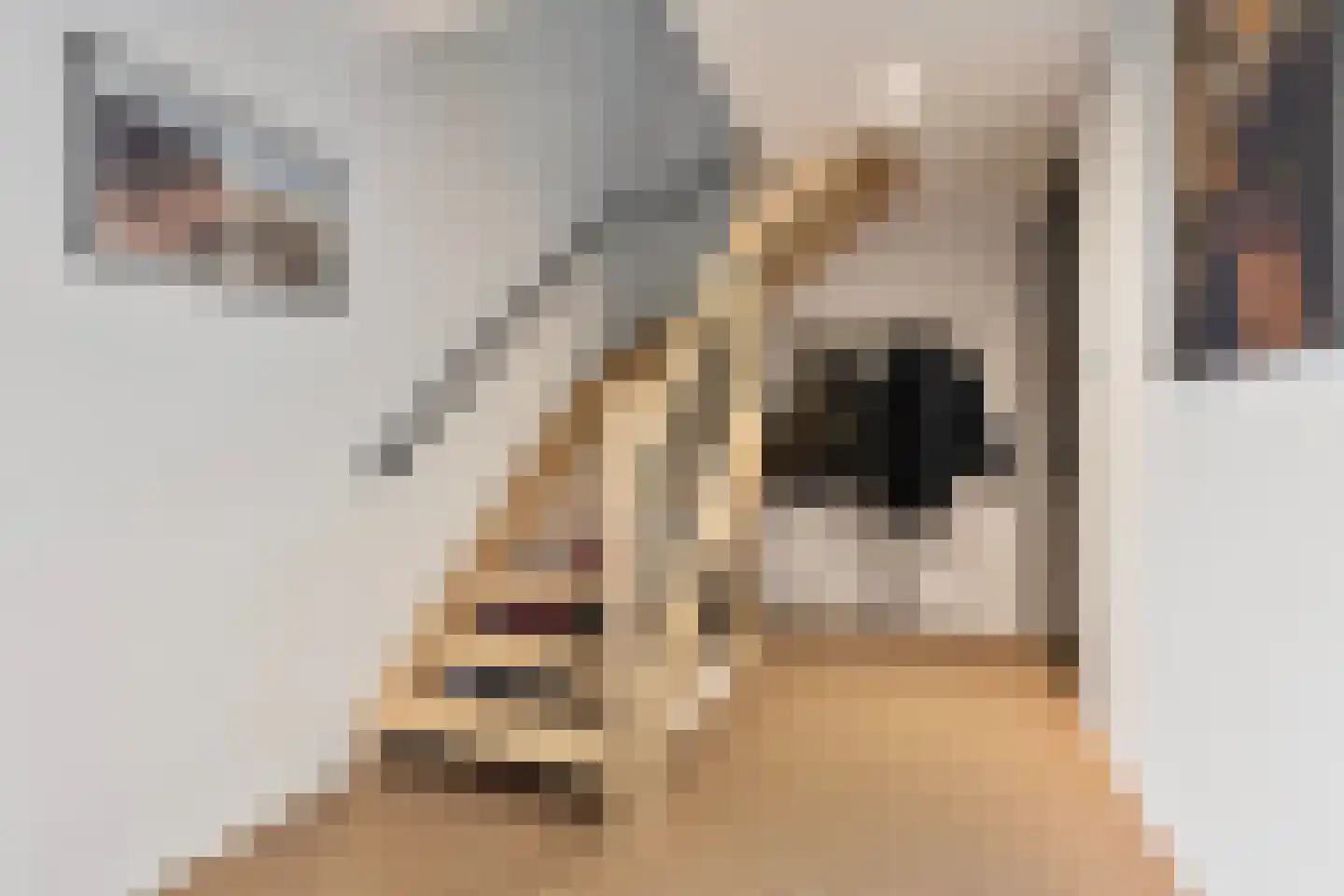 Moleneind 14 Lith thumbnail 33