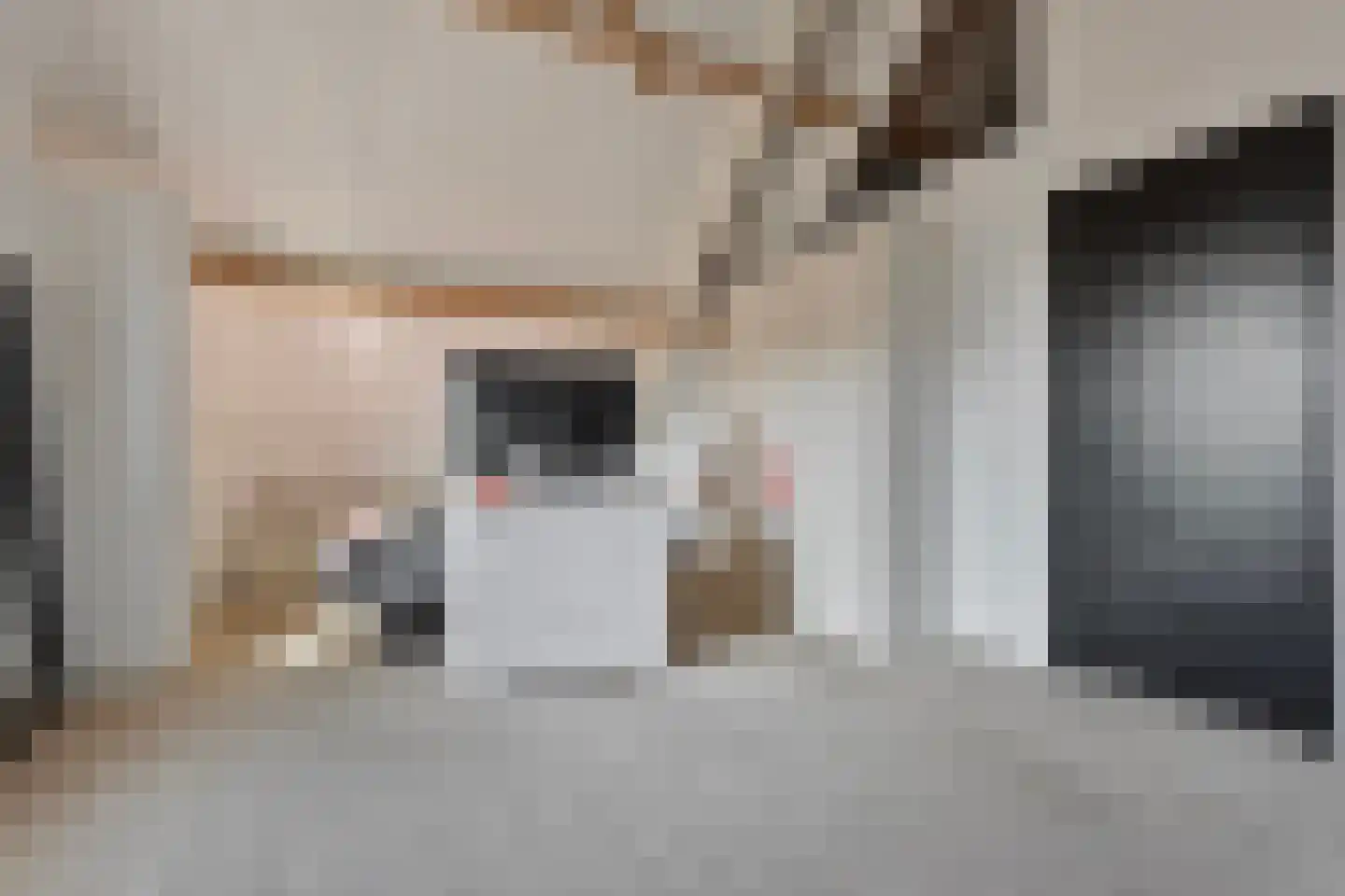 Moleneind 14 Lith thumbnail 38