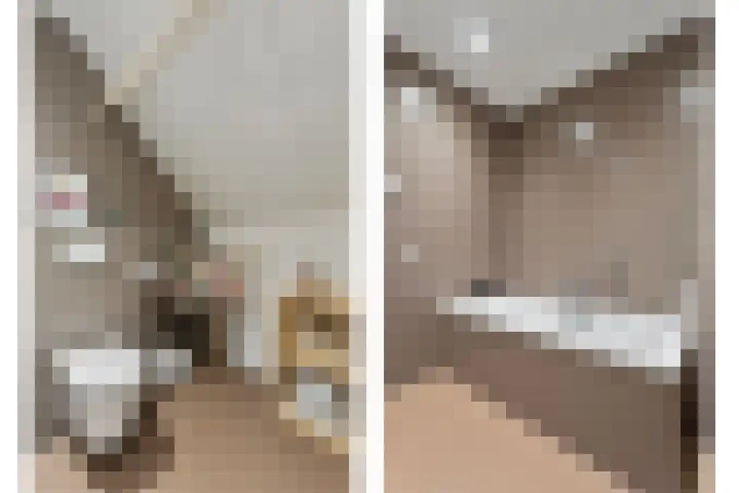 Moleneind 14 Lith thumbnail 41