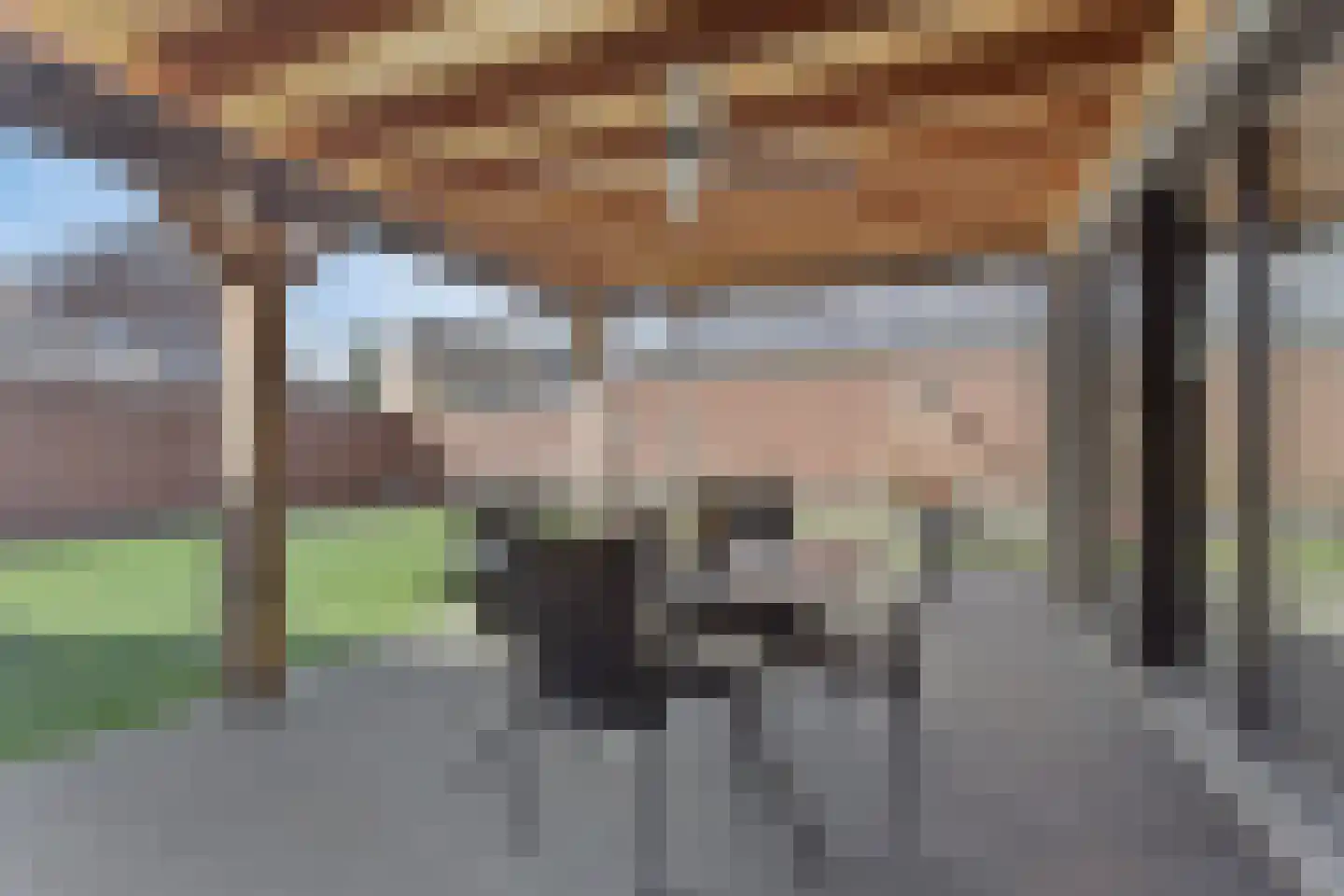 Moleneind 14 Lith thumbnail 45