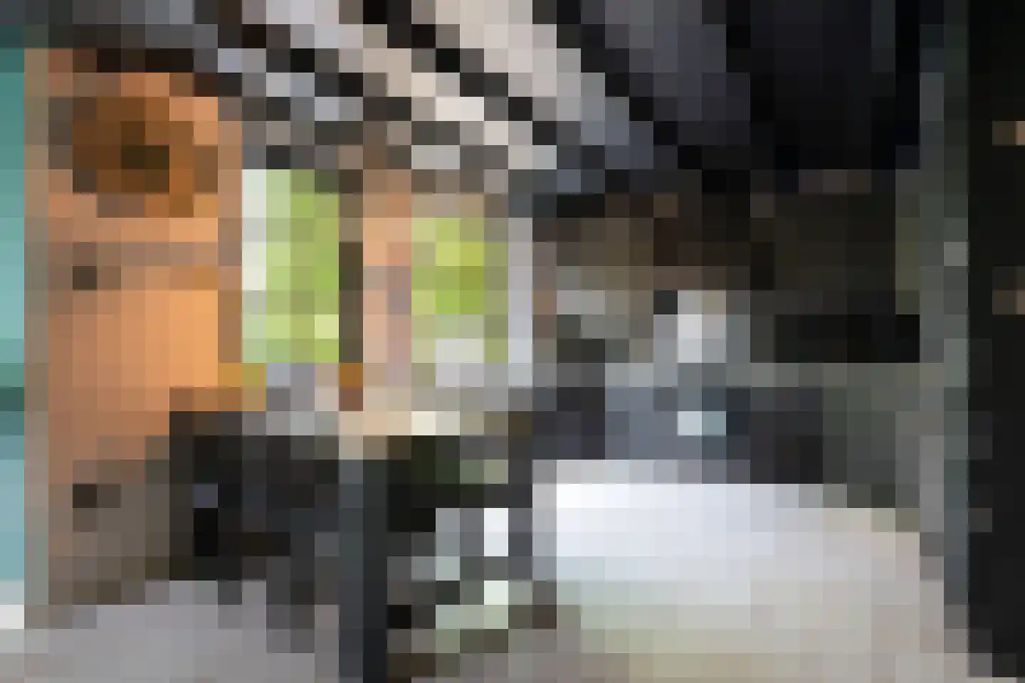 Moleneind 19 Ossendrecht thumbnail 11