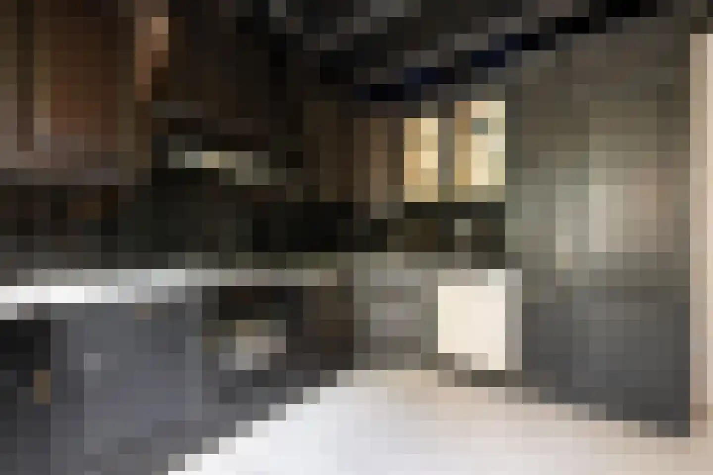 Moleneind 19 Ossendrecht thumbnail 12