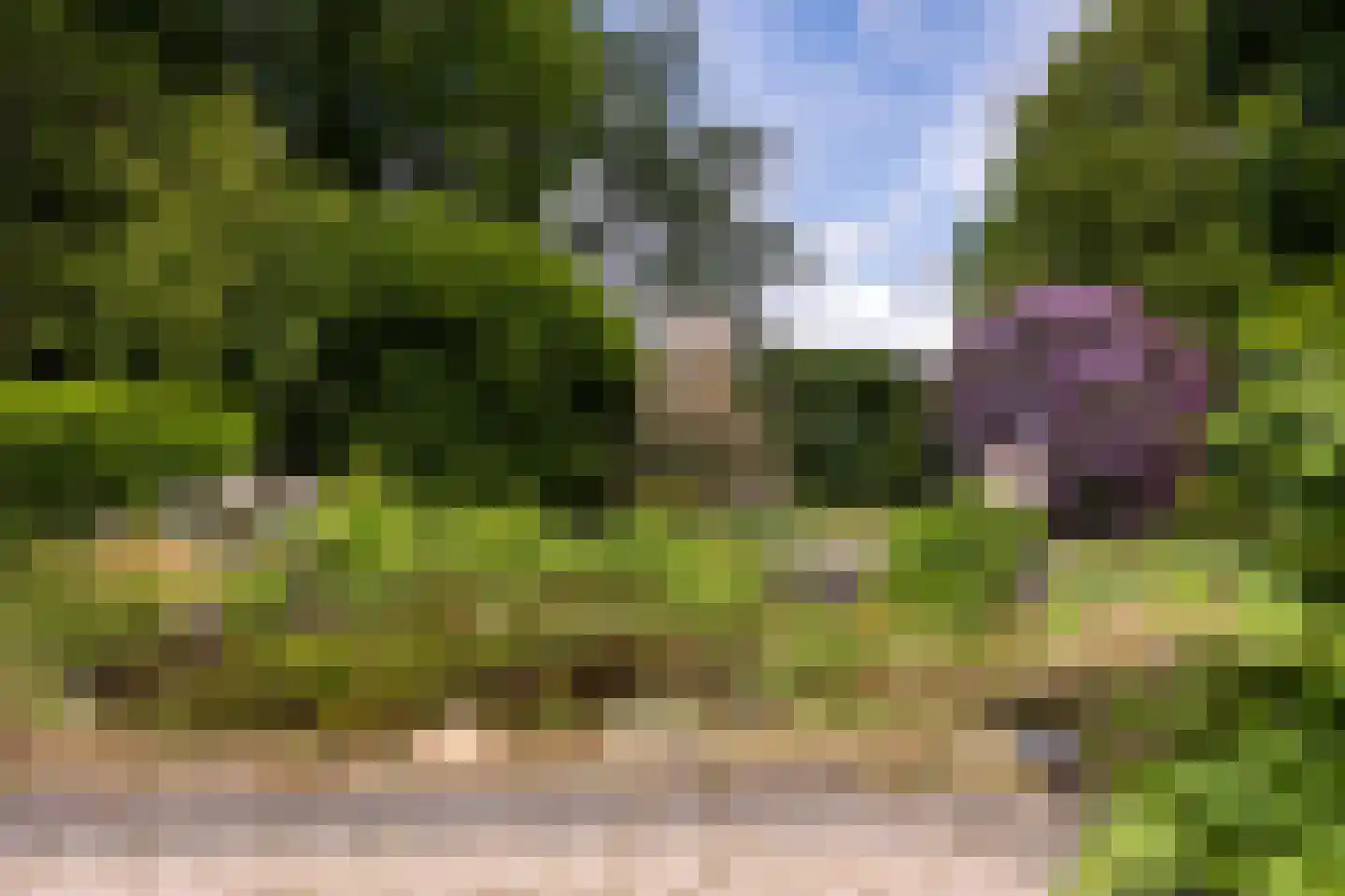 Moleneind 19 Ossendrecht thumbnail 31