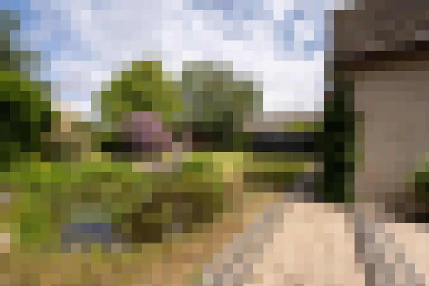 Moleneind 19 Ossendrecht thumbnail 32