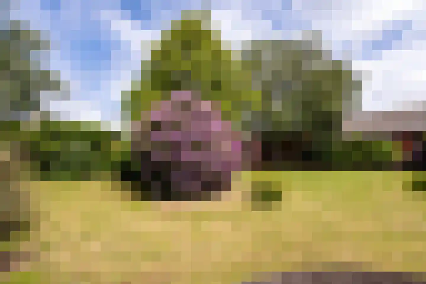 Moleneind 19 Ossendrecht thumbnail 33