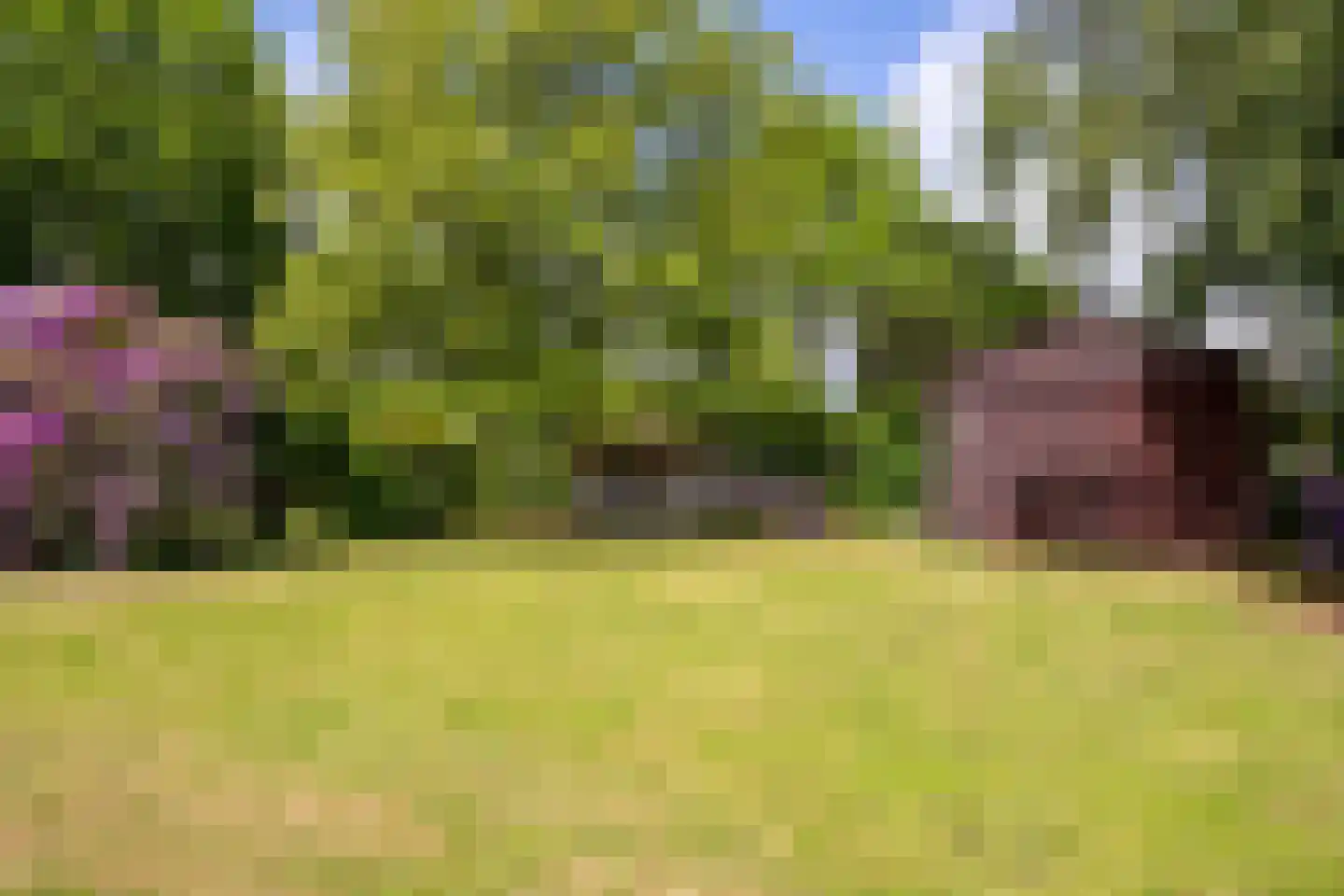 Moleneind 19 Ossendrecht thumbnail 34