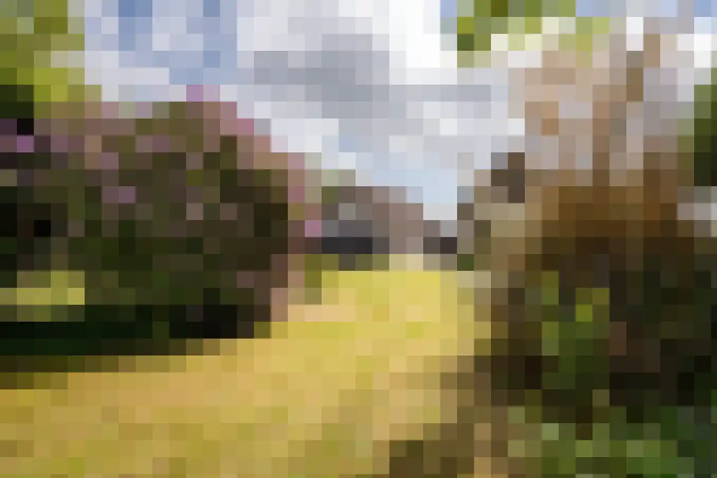 Moleneind 19 Ossendrecht thumbnail 35