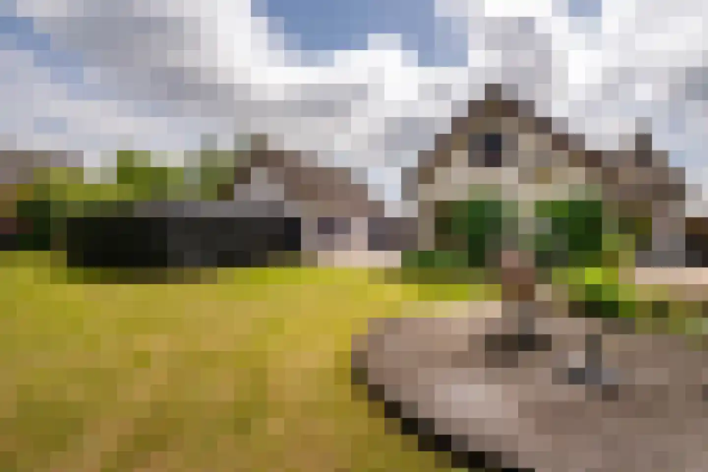 Moleneind 19 Ossendrecht thumbnail 36