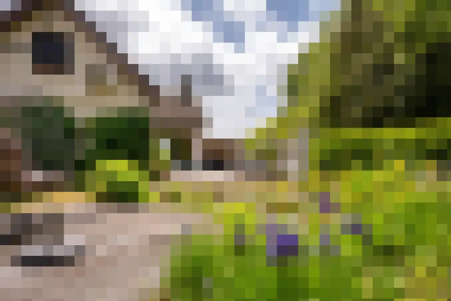 Moleneind 19 Ossendrecht thumbnail 4