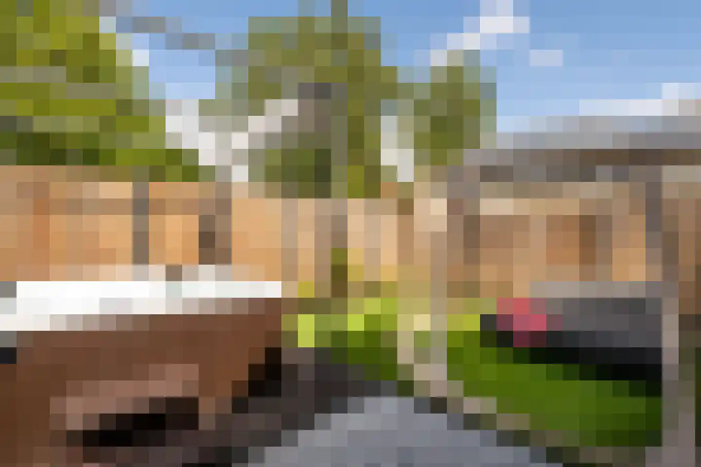 Moleneind 19 Ossendrecht thumbnail 45