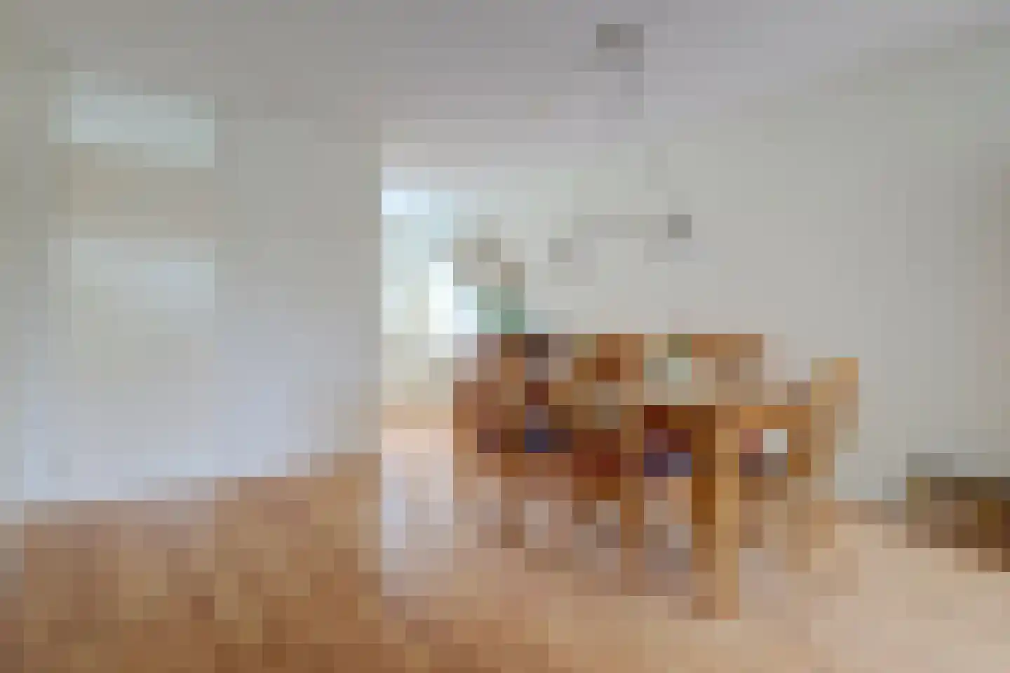 Moleneind 22 Gouda thumbnail 14