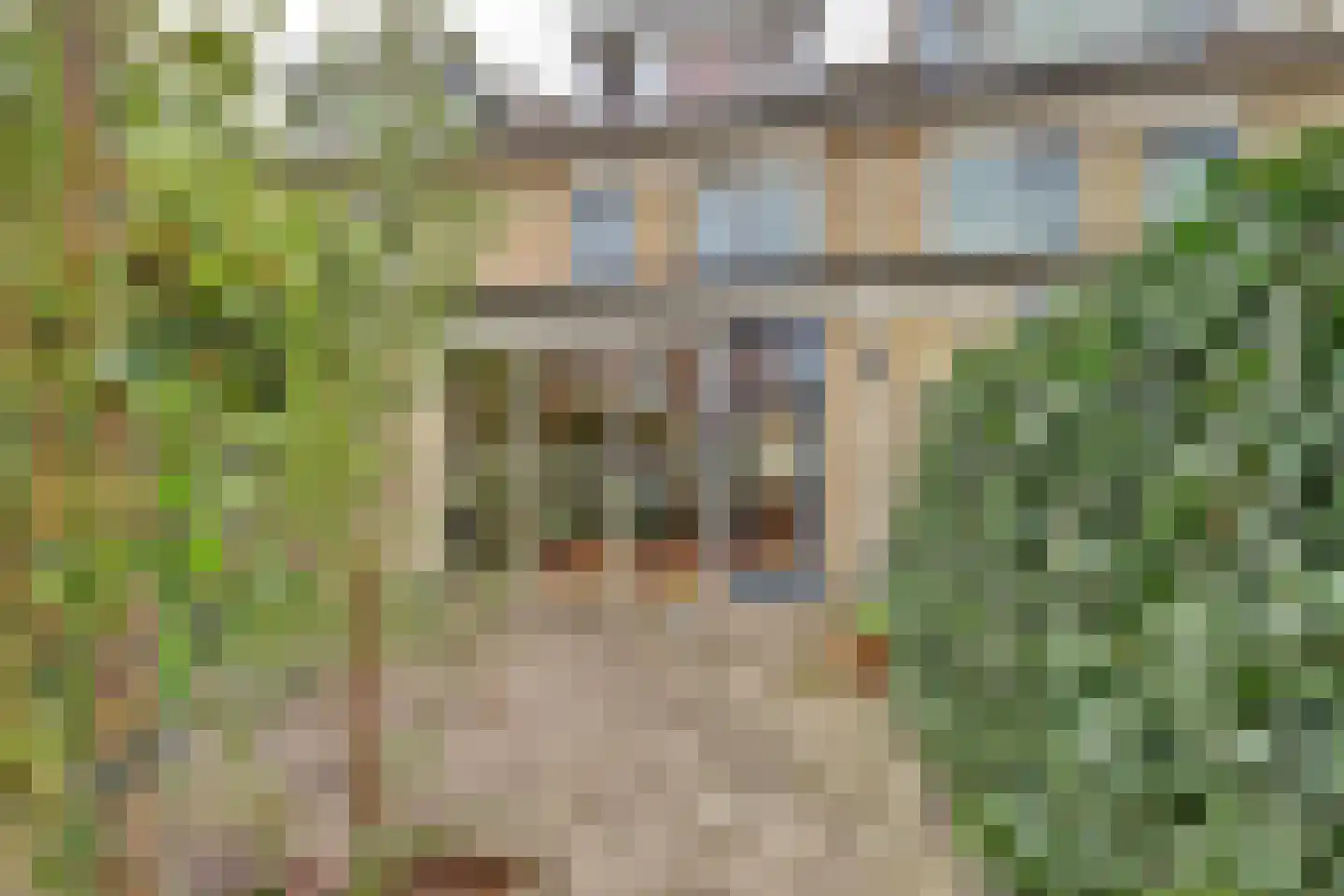 Moleneind 22 Gouda thumbnail 31